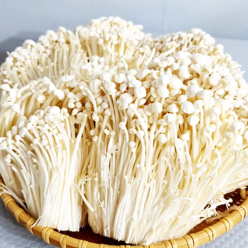 Cómo elegir los mejores champiñones frescos de origen doméstico: mi experiencia con el paquete de 2 kg y 4 kg de Uncle Light White