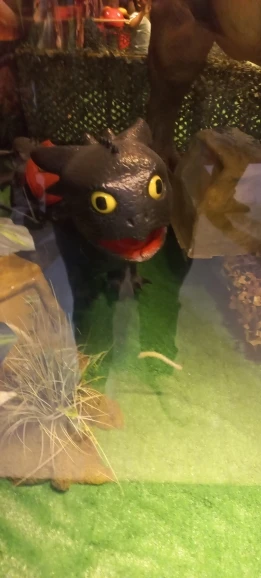 구매후기
