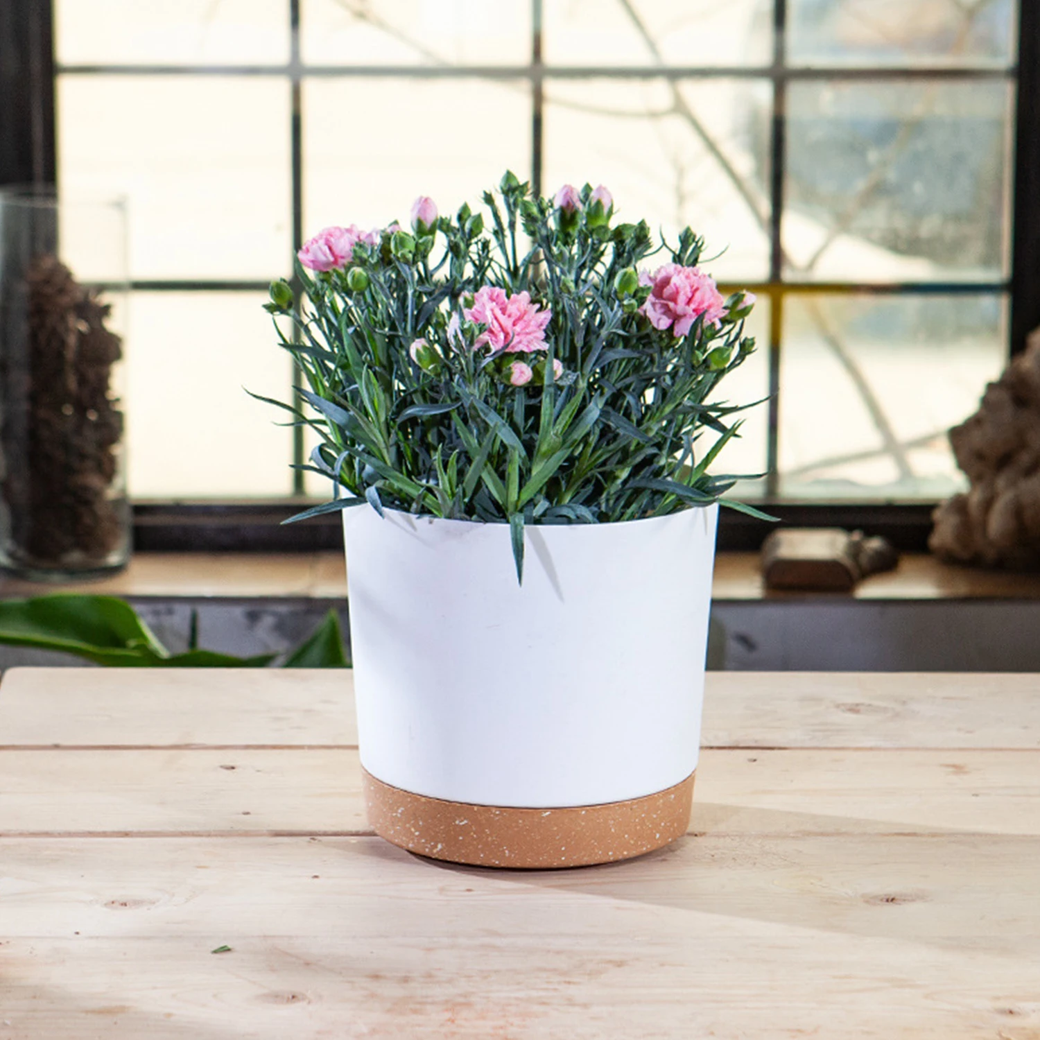 Plant Pot Circular Large Flowerpot Plastic Indoor Plants Succulent Planter with Drainage Bonsai Potted with Tray Home Decoration