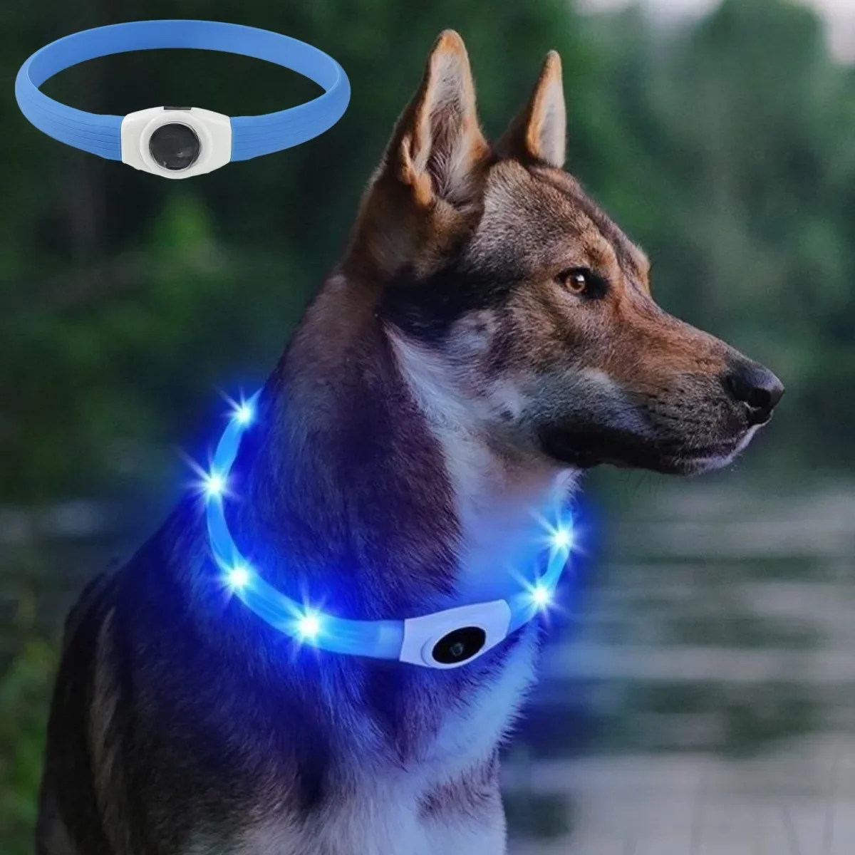Nowa Led Luminous Obroża dla psa PVC Wodoodporna, dla dużych średnich małych psów Obroża Usb Light Night Safety Pet Świecące akcesoria — zdjęcie 2