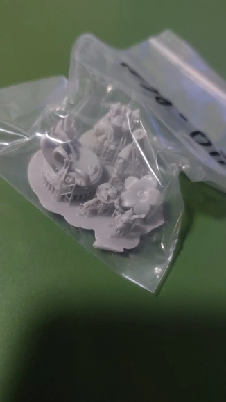 Buyer photo of this resin kit