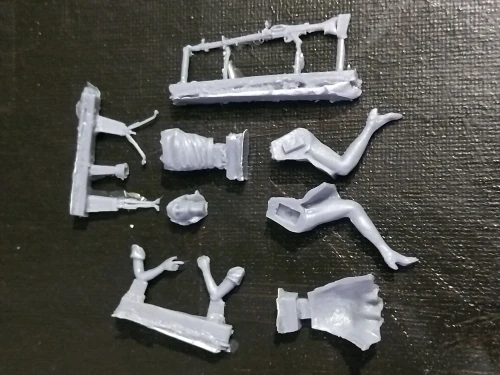Buyer photo of this resin kit