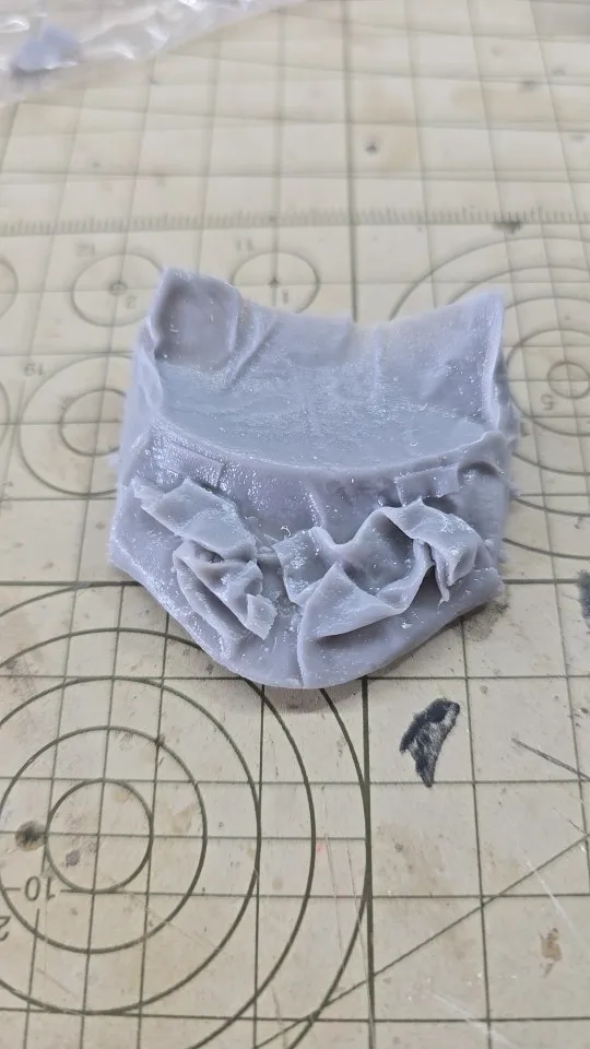 Buyer photo of this resin kit
