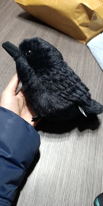 10cm 20cm Kawaii Black Crow Plush Toy Realistic Crow Stuffed Animal Creative Bird Soft Doll for Child and Adults Gothic Room Dec photo review