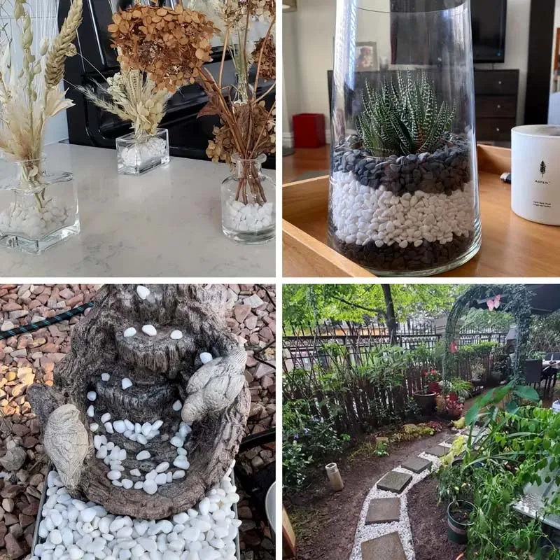 Thumbnail 4 - #33 Best Vase Fillers to Buy In 2026