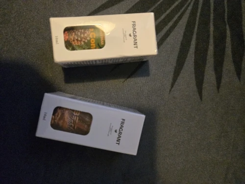 10ml Pine Cones Fragrance Oils Christmas Aroma Oils For Diffuser Christmas Candle Christmas Gifts photo review