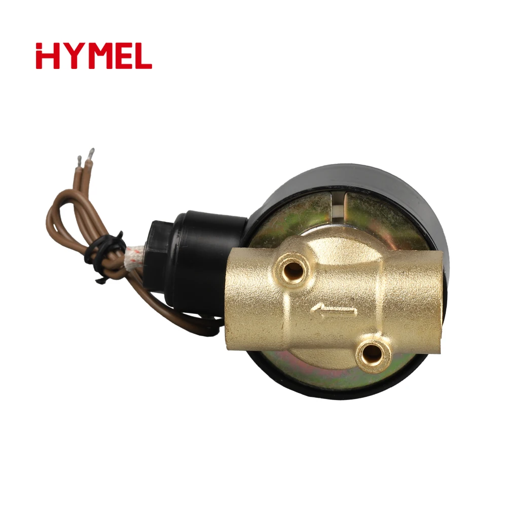 전기 솔레노이드 밸브 공압식 일반적으로 닫힘형 물 오일 공기용 - 다양한 크기 가능 12V 24V 220V 110V