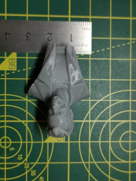 Buyer photo of this resin kit