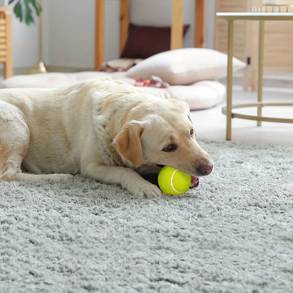 3pcs PrimePets Tennis Balls For Dogs, 2.5 Inch Thick Bouncy Dog Ball, Interactive Dog Toys For Indoor Outdoor, Fetch Balls For M