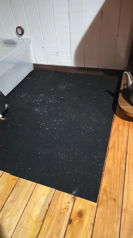 Customer review photo for Self-Adhesive Cat Scratch Furniture Protector