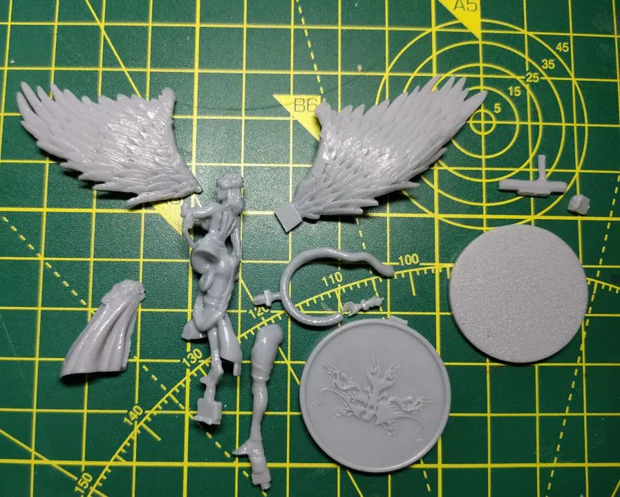 Buyer photo of this resin kit