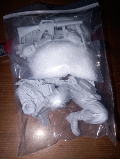 Buyer photo of this resin kit
