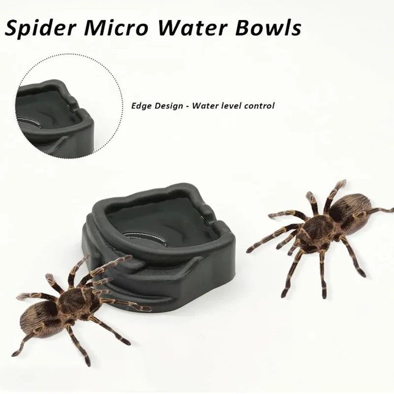 Thumbnail 2 - #29 Reptile Water Bowls Comparison Guide