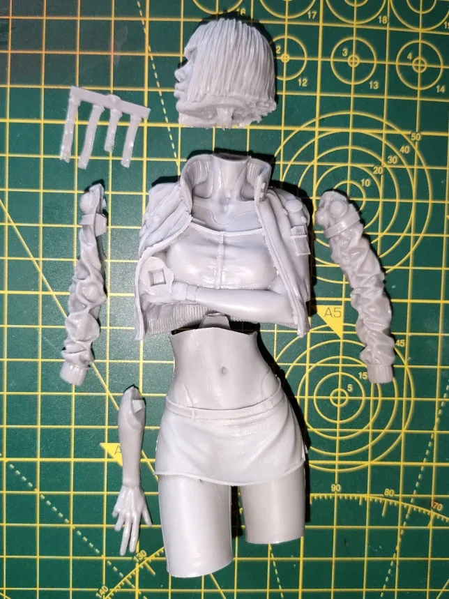 Buyer photo of this resin kit