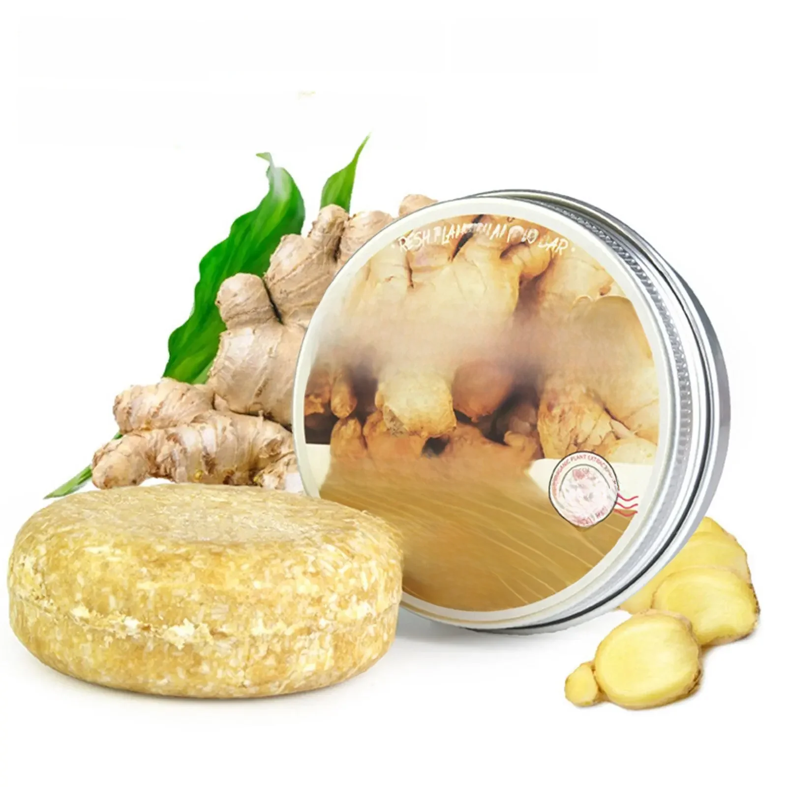 Regina Cold Ze Shampoo Bar pour femmes et hommes, Shampooings capillaires faits à la main, Pure Plant Hair Care, 60g