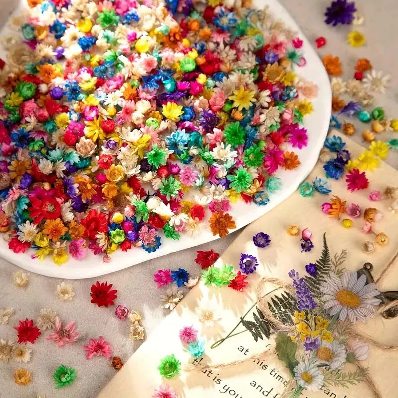 Mixed Colorful Flower for Wax Molding, Ideal for Resin Crafts, DIY Decor & Seasonal Art Projects - Flower Candle Embellishments