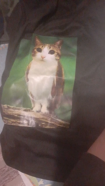 Meowl Meme Cat Tshirt Funny Cat Meme Shirt Cat and Owl Brainrot Meowl Tee Unhinged 90s Kitten Tee Funny Graphic Shirt photo review