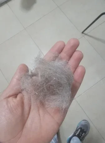 실물 포토 리뷰