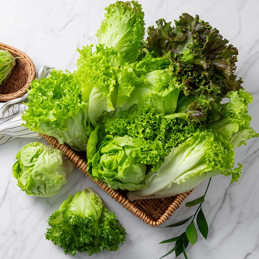 [معتمد على الفجوة] سلطة أوروبية 1 كجم (4 أنواع)