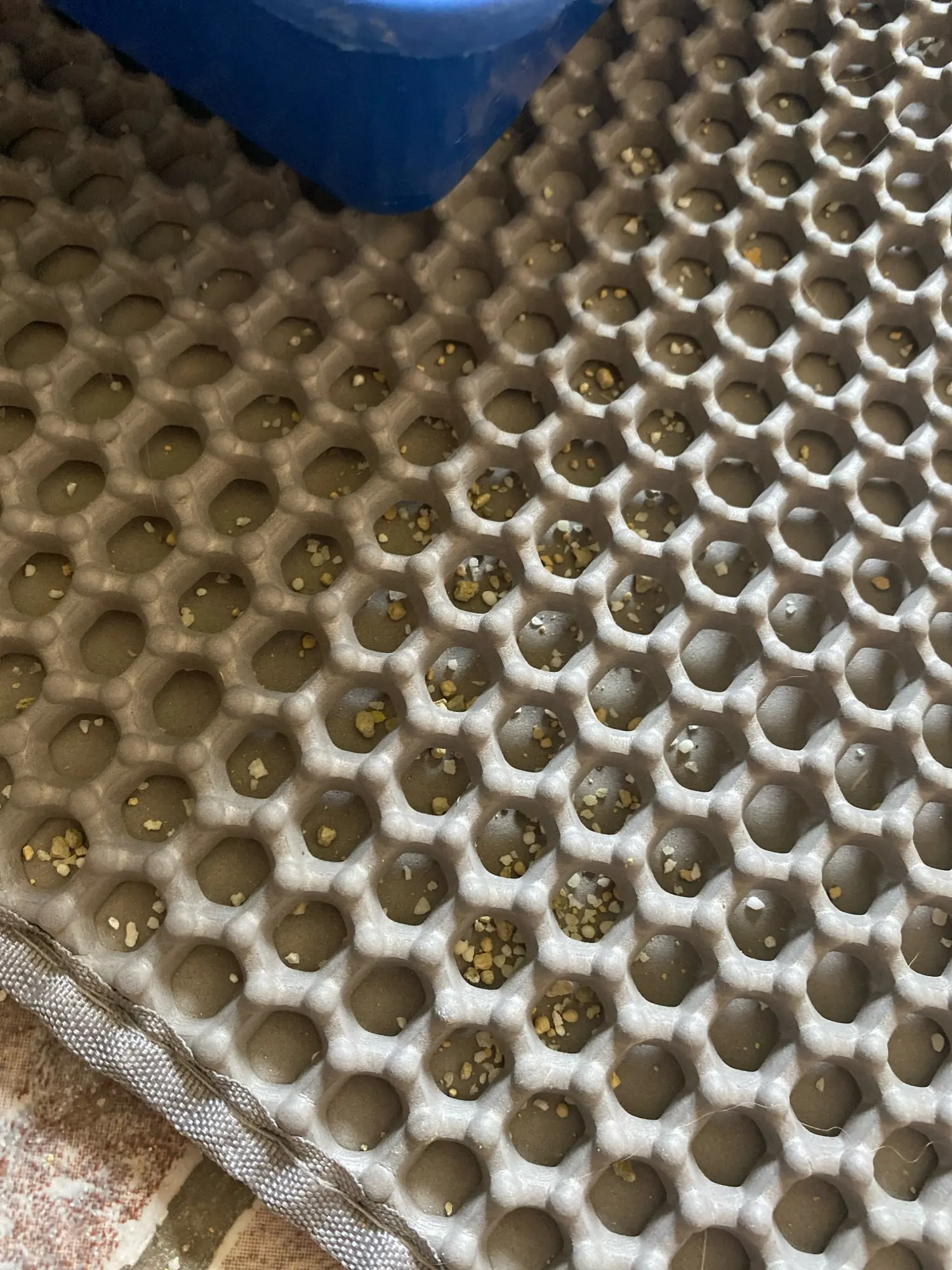 Customer review photo for Double-Layer Cat Litter Mat