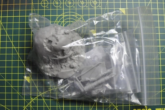Buyer photo of this resin kit