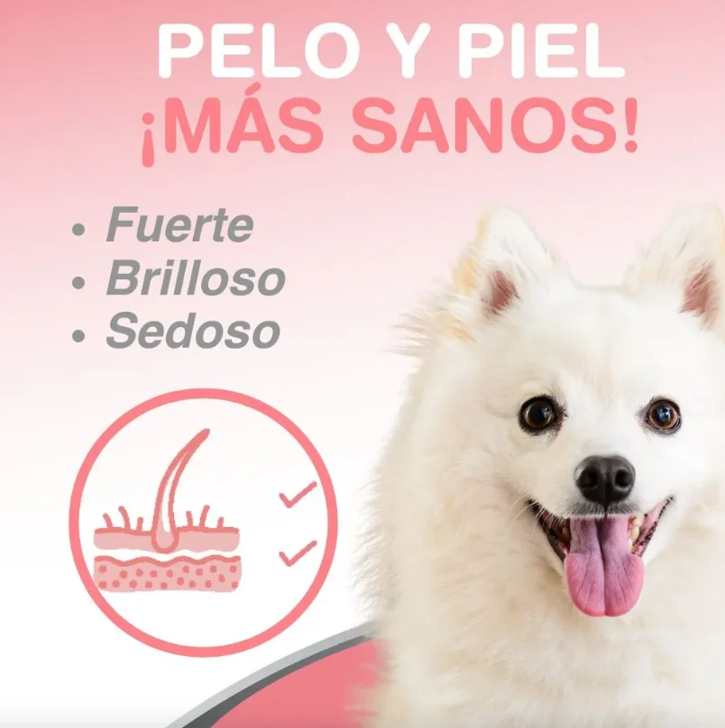 الحيوانات الأليفة الفاخرة. زيت السلمون السيدة للكلاب والقطط 490 مل مع أوميغا 3، دارا وإيبا. يعزز البشرة الصحية، معطف لامع، ويقلل من الالتهابات الجلدية، ويحسن وظائف الجهاز الهضمي