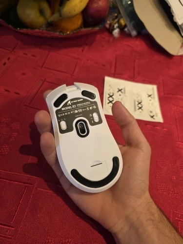 리뷰 사진