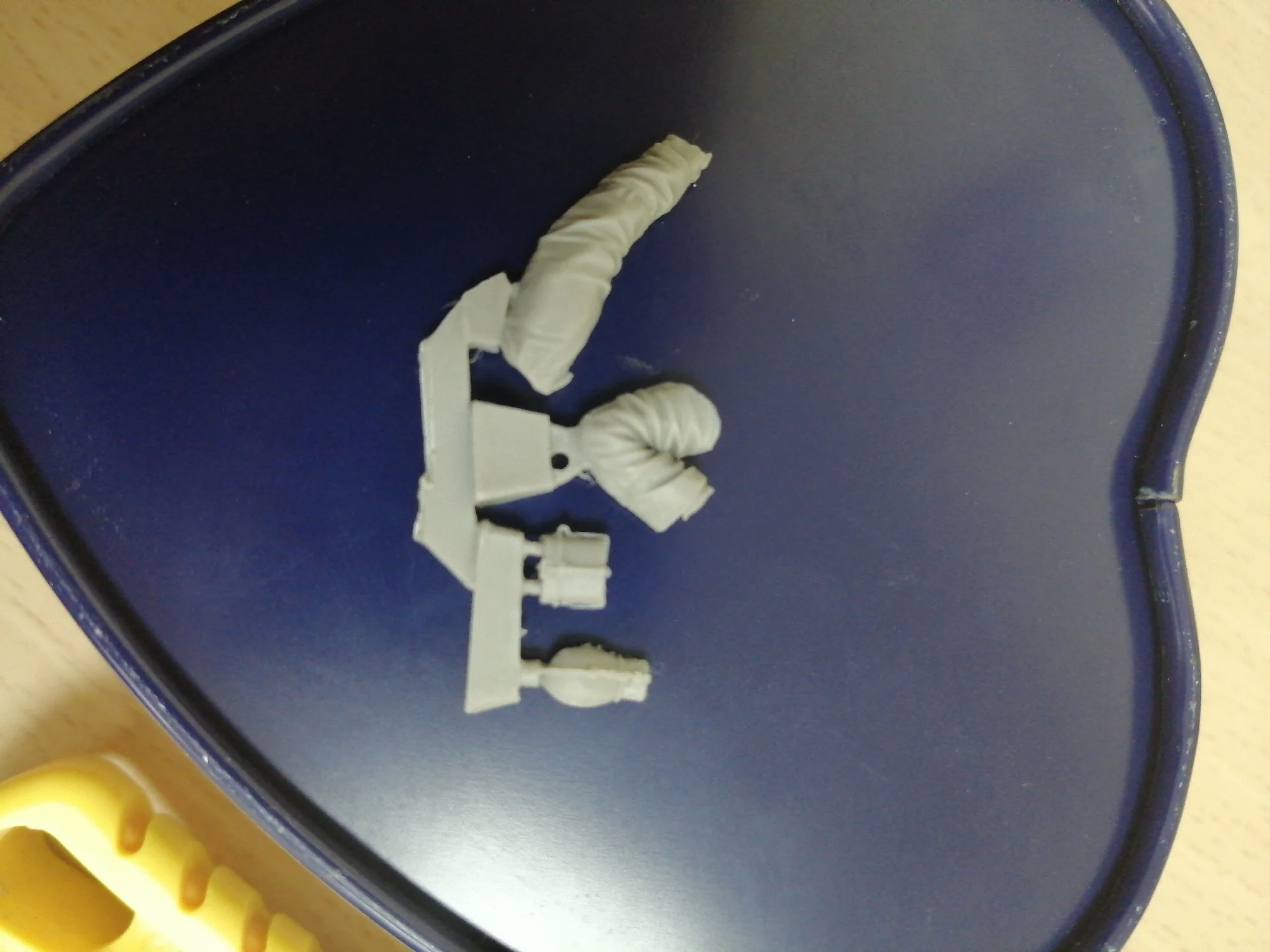 Buyer photo of this resin kit