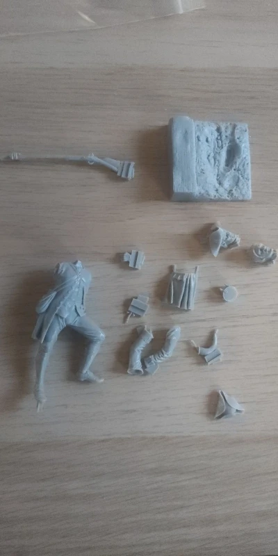 Buyer photo of this resin kit