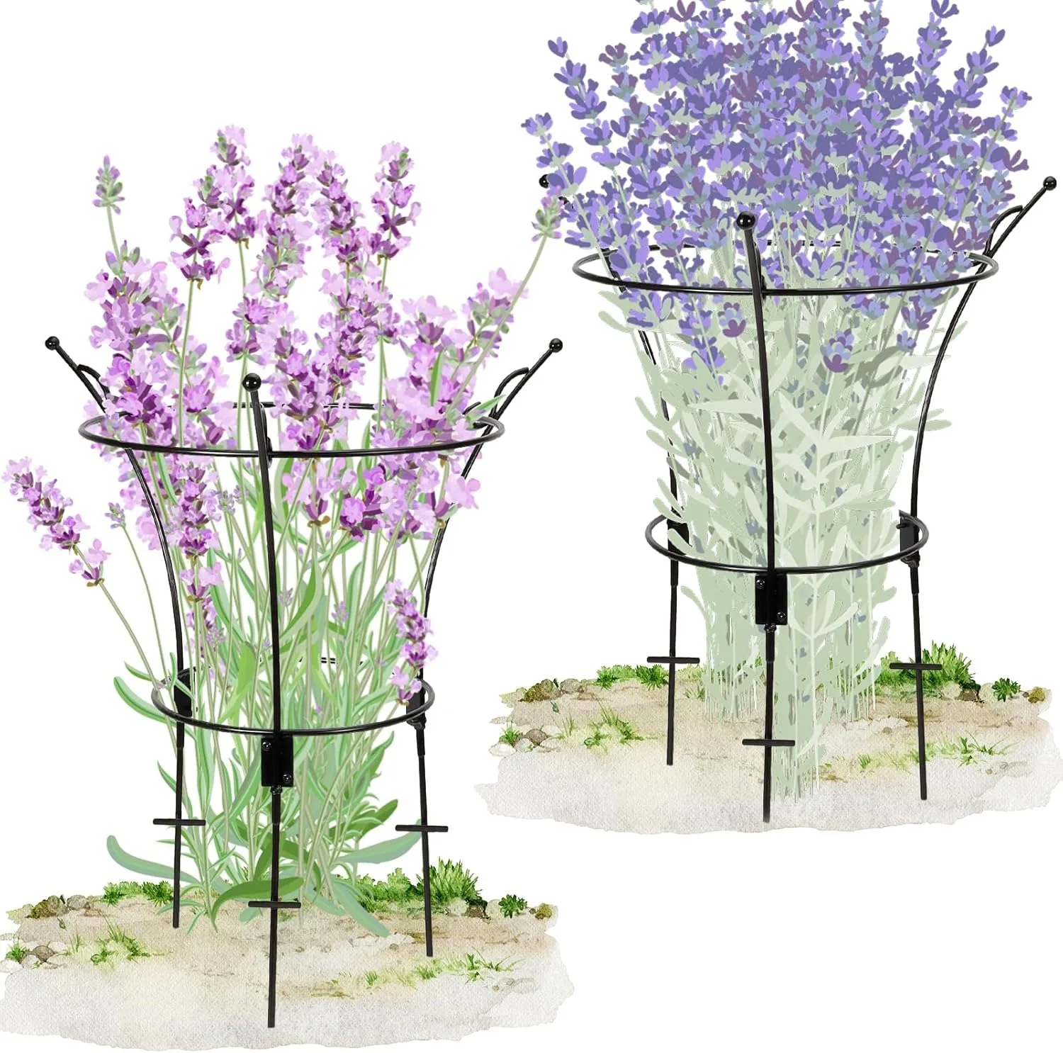 2 Pack Peony Cages Supports Metal Peony Support Rings Tall Plant Support Stakes Gardening Climbing Frame for Flopping Flowers