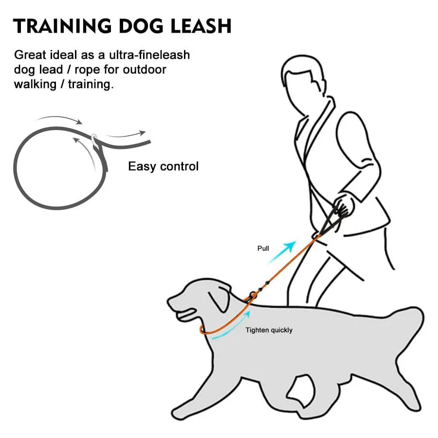 Dog Slip Lead Dog Leash,Training Leash,Cinch Leash, No-Pull Slip Leash and Collar,Heavy Duty&Durable,Padded Handle,for All Breed