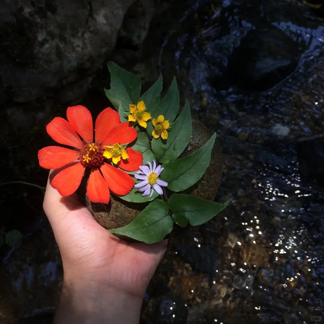 

8 Handle Sculpting Device Cryo Slimming Cryolipolyse Cellulite Removal Skin Rejuvenation Ice Sculptures Price