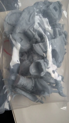 Buyer photo of this resin kit