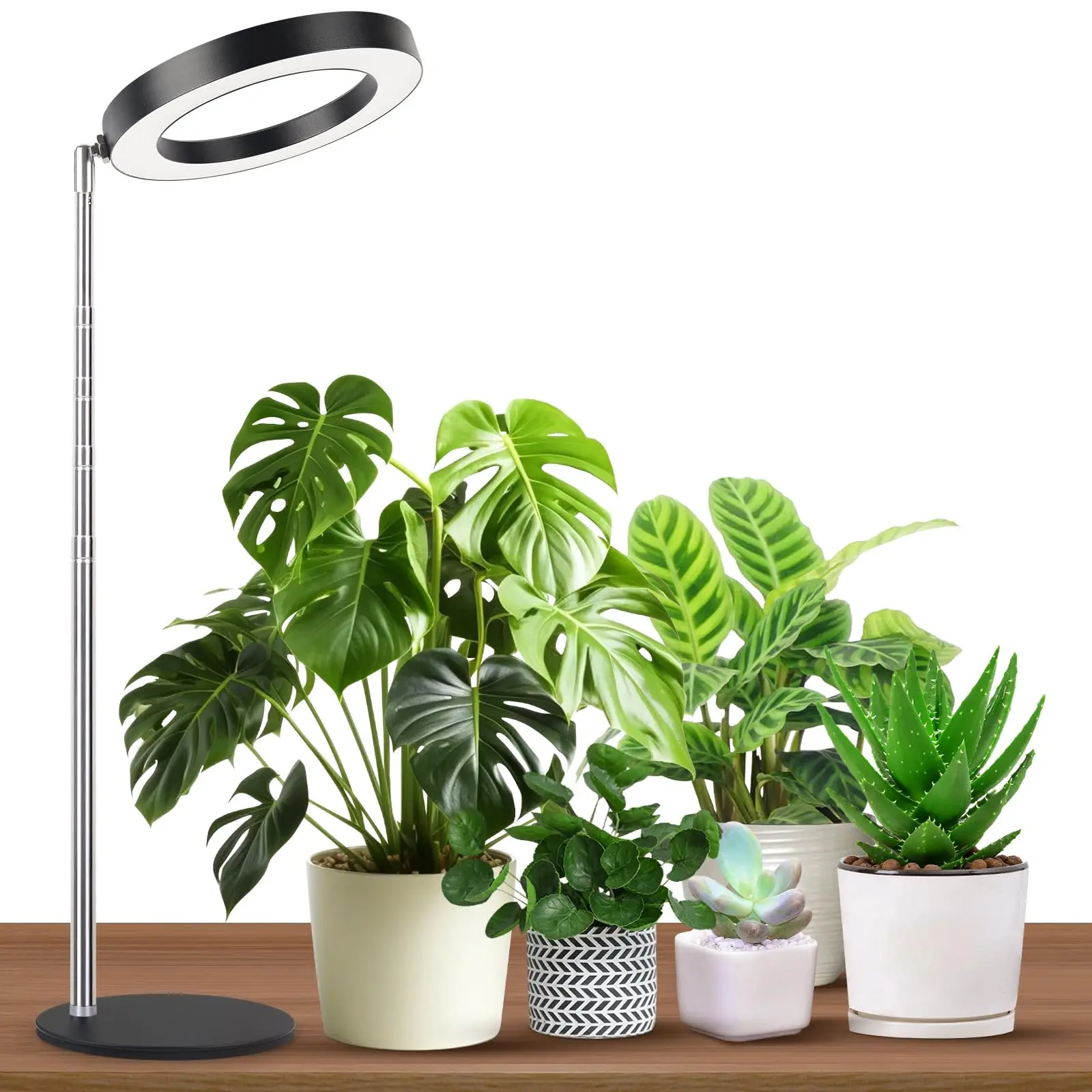 

Shadeshape Full Spectrum Desk Grow Lamp with Pedestal, Automatic Timer for 3H/9H/12H, 10 Dimmable Levels, Height Adjustable