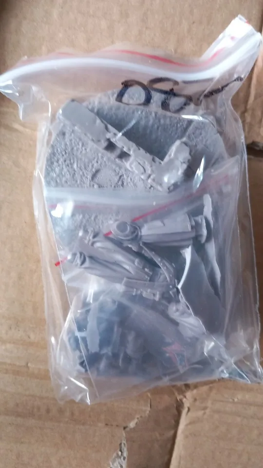 Buyer photo of this resin kit