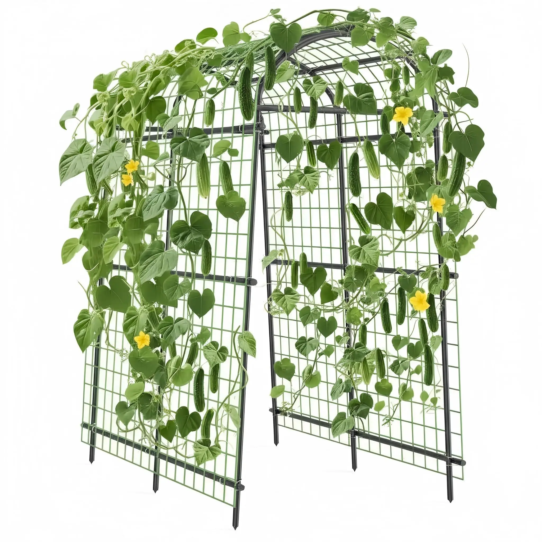 Cucumber Trellis for Raised Bed, U-Shape Garden Trellis for Climbing Plants, Metal Arch Vegetables Trellis, Plant Support for Grape Vine Beans Squash Peas Flower Outdoor