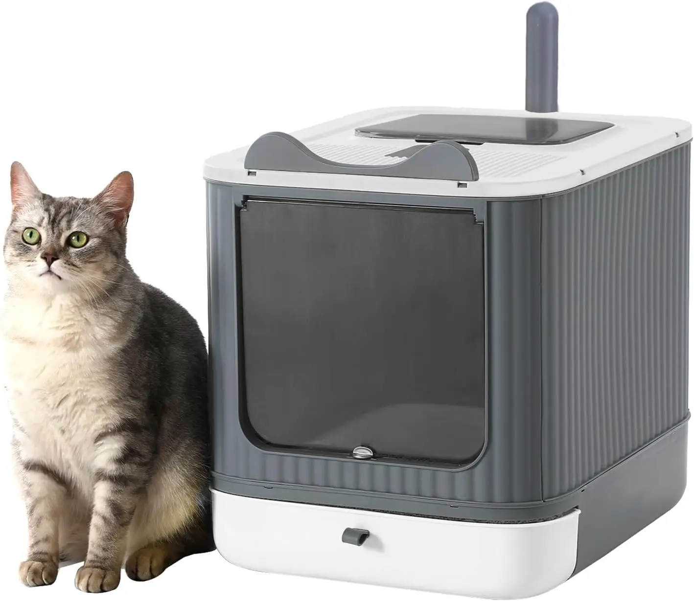 Arenero Cerrado para Gatos con Cajón Extraíble, Caja de Arena con Entrada Frontal y Salida Superior, Incluye Pala, Fácil de Limpiar, Antisalpicaduras, para Gatos Pequeños y Medianos