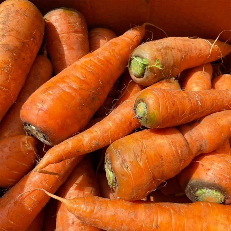 Carrot for home carrot juice 1kg 3kg 5kg The nail is harvested this year carrot