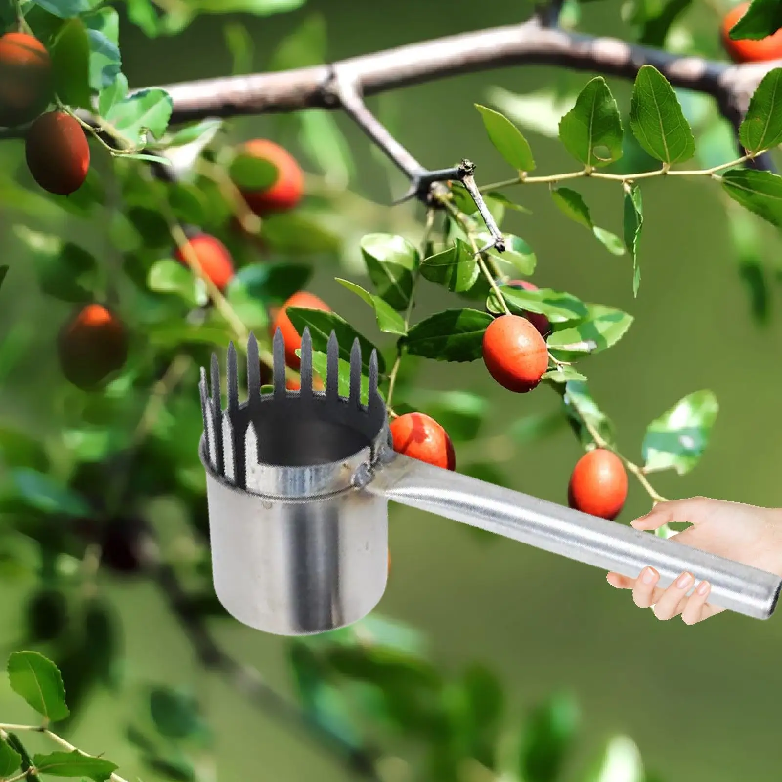 Fruit Picker Portable Fruit Harvest Picking Head Basket practical Orchard Metal Picking Tool for Harvest Pear Peach Berry Avocad
