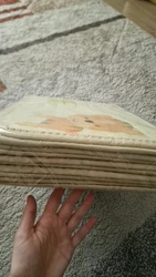 Imagen de reseña 3
