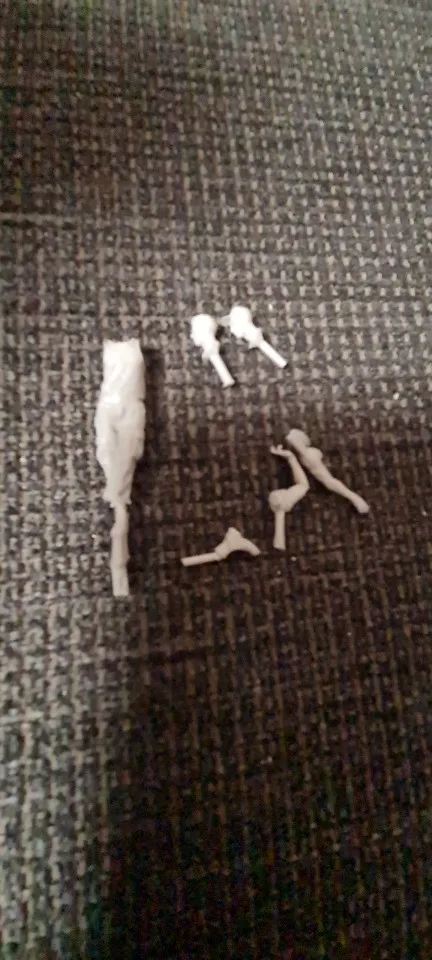 Buyer photo of this resin kit