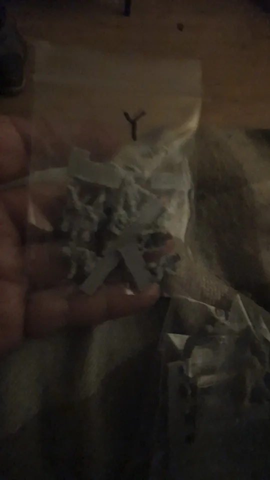 Buyer photo of this resin kit