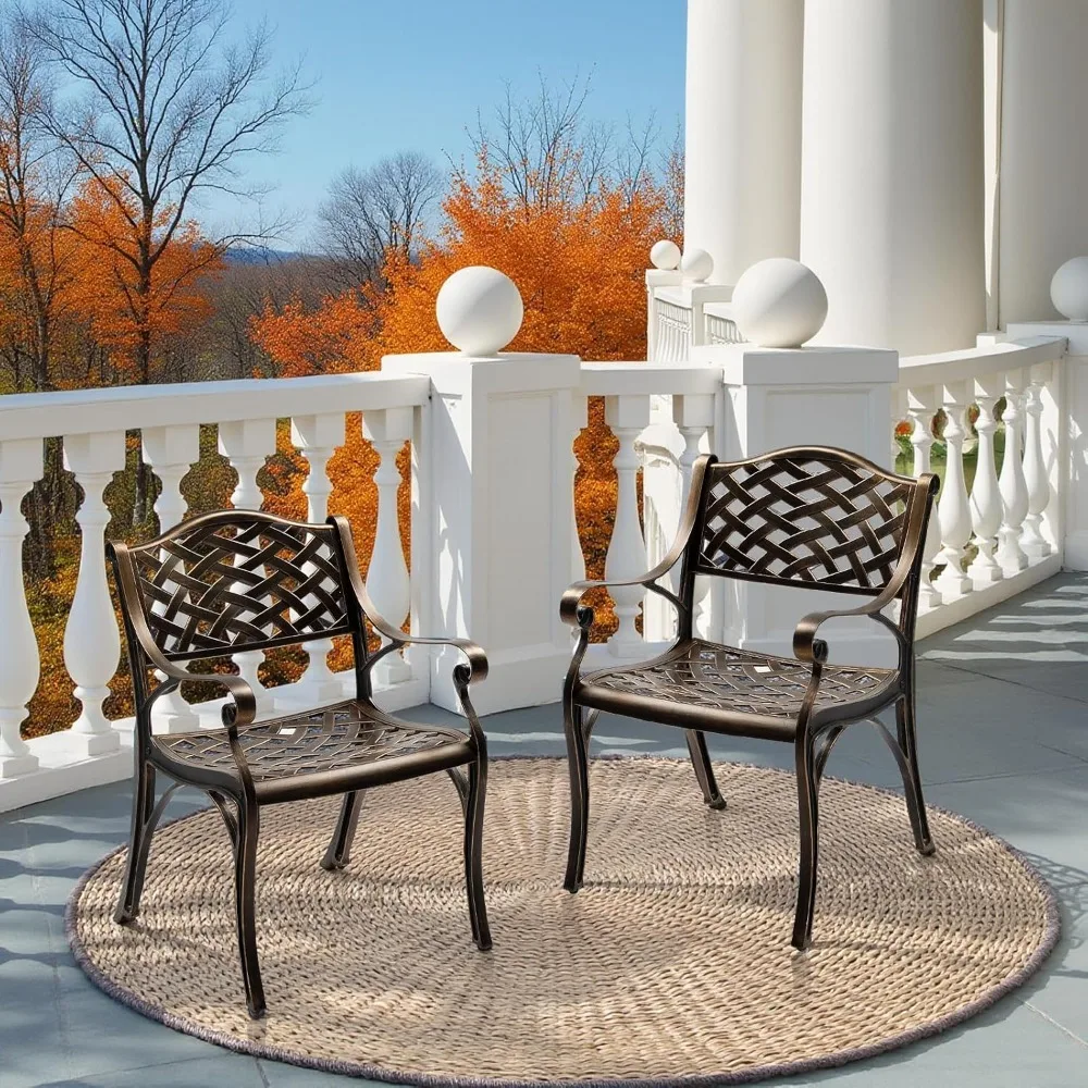 Outdoor Dining Chairs Set of 2, Cast Aluminum Patio Chairs, All-Weather Aluminum Outdoor Chairs Patio Furniture