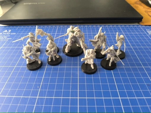 Buyer photo of this resin kit
