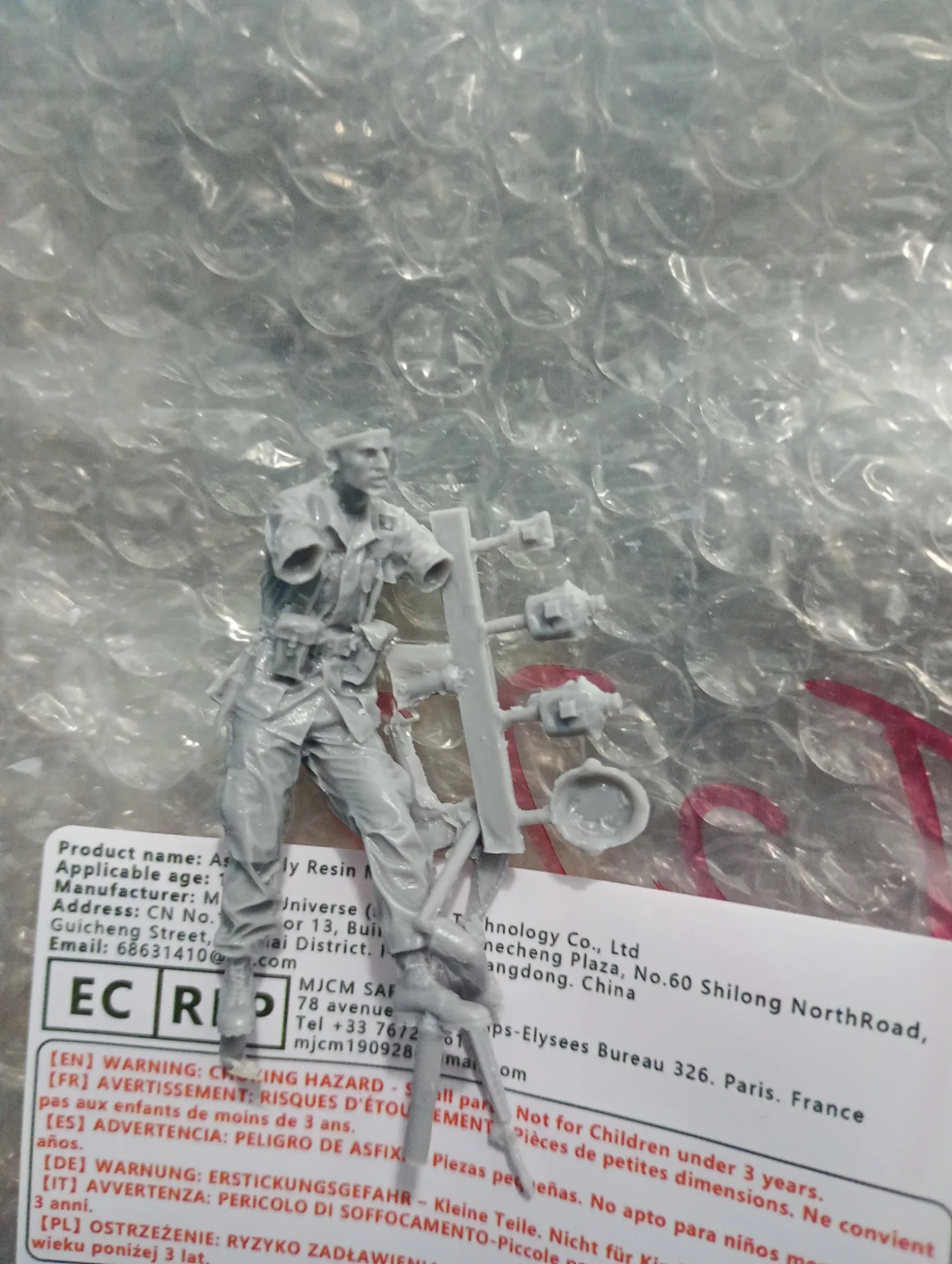 Buyer photo of this resin kit