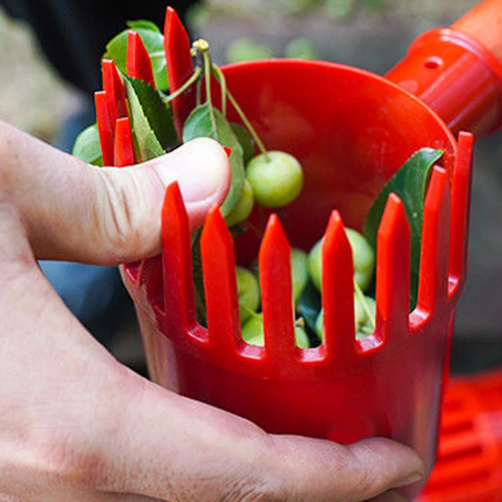 Portable Fruit Picker Handheld Fruit Picker Jujube Picker for Cherry Tomatoes Fruit Harvest Agriculture Gardening Equipment