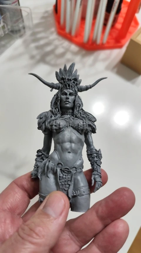 Buyer photo of this resin kit