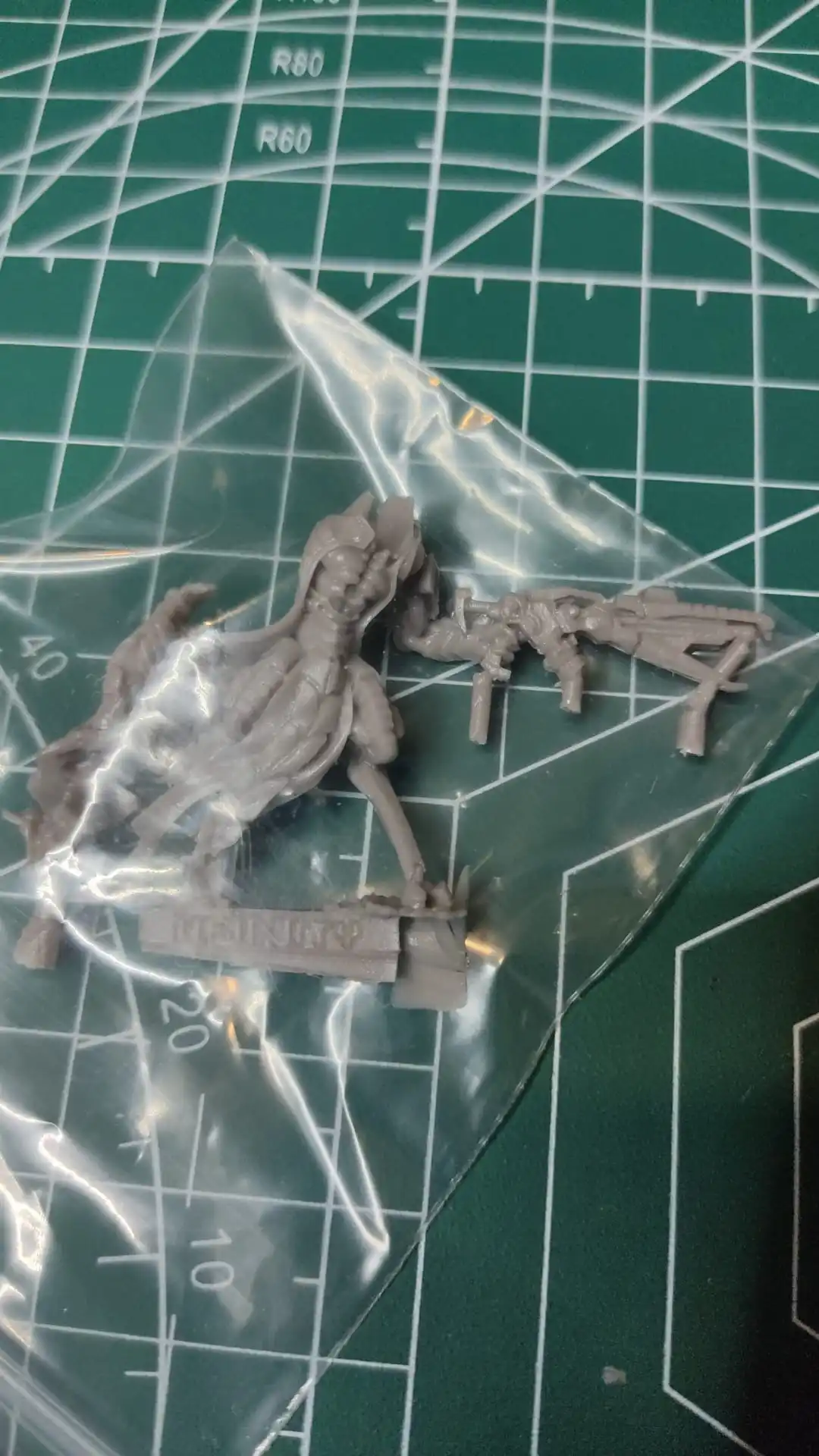 Buyer photo of this resin kit