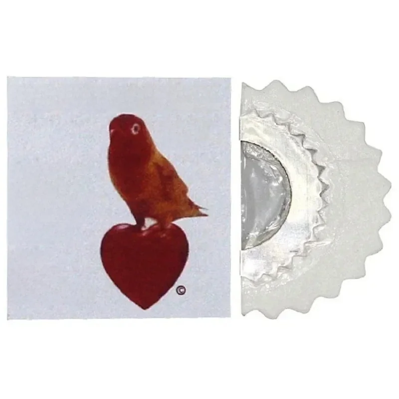 Sifflet à langue magique pour oiseau, jouet amusant, bruiteur, ち, original