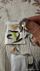 Imagen de reseña 3